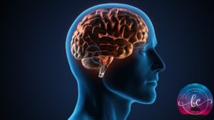 Super Charge Our Memory Skills at the Workplace (31 July 2025, Thursday)